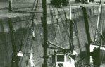 « CHERBOURG-VOILES COTENTINES » appelée couramment « VOILES-COTENTINES » (…)